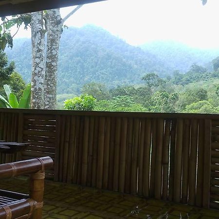 Batu Kapal Jungle Houses Berastagi Exterior foto