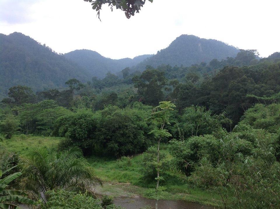Batu Kapal Jungle Houses Berastagi Exterior foto