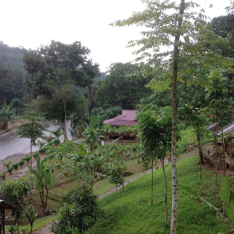 Batu Kapal Jungle Houses Berastagi Exterior foto